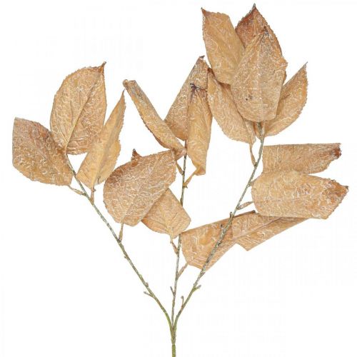 Floristik24 Plante artificielle branche déco automne feuilles lavées blanc L70cm