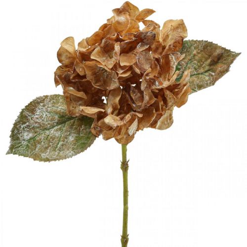 Article Hortensia artificiel séché Drylook décoration automne L33cm