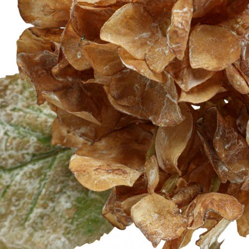 Article Hortensia artificiel séché Drylook décoration automne L33cm