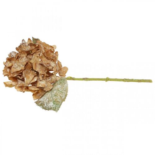 Article Hortensia artificiel séché Drylook décoration automne L33cm