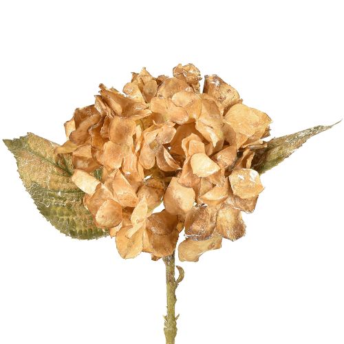 Article Hortensia artificiel séché Drylook décoration automne L33cm