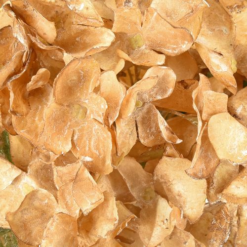 Article Hortensia artificiel séché Drylook décoration automne L33cm