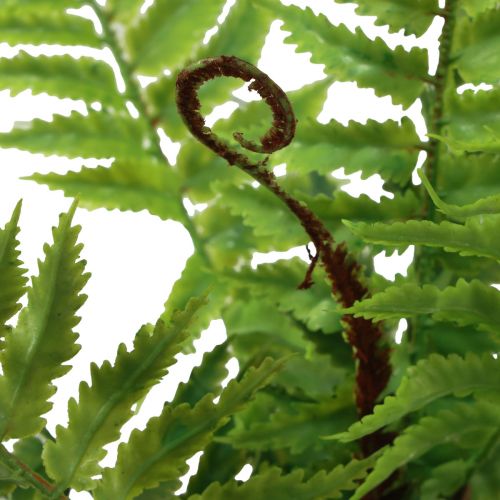 Article Plante artificielle Fougère artificielle Feuilles de fougère décoratives Vert 40,5 cm