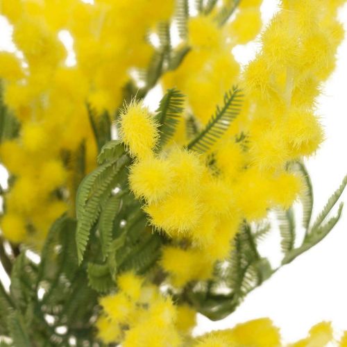 Floristik24 Plante artificielle, acacia argenté, jaune mimosa déco, 39cm 3pcs