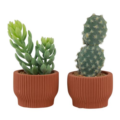 Floristik24 Plantes Artificielles Cactus Succulent Plante Verte Artificielle 14.5/15.5cm 2pcs