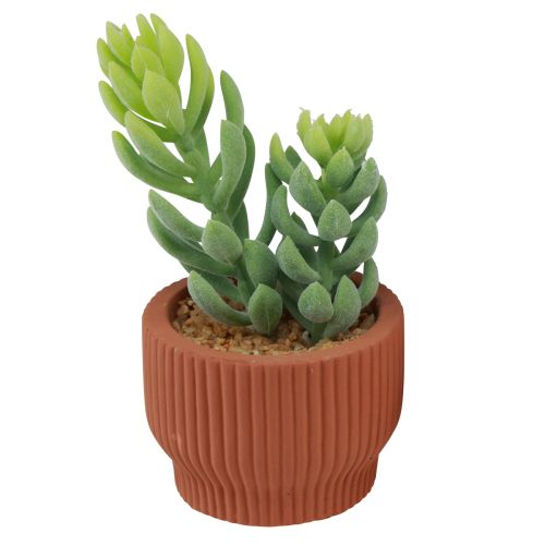 Article Plantes Artificielles Cactus Succulent Plante Verte Artificielle 14.5/15.5cm 2pcs