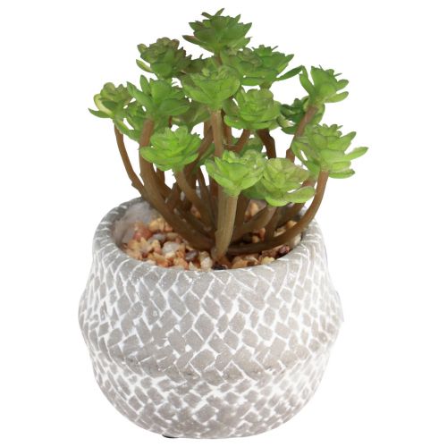 Article Plantes Artificielles Plantes Succulentes Plante Verte Artificielle 11-14cm 3pcs