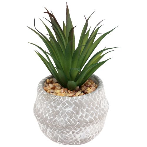 Article Plantes Artificielles Plantes Succulentes Plante Verte Artificielle 11-14cm 3pcs