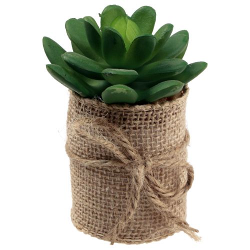 Floristik24 Plantes artificielles succulentes décoratives artificielles 9,5-12,5 cm 3pcs