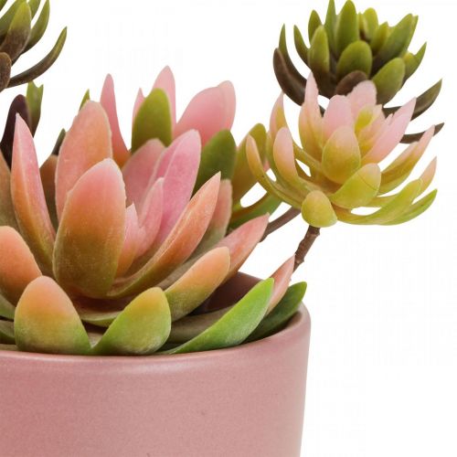 Article Plantes artificielles en pots succulentes artificielles H13cm 3pcs