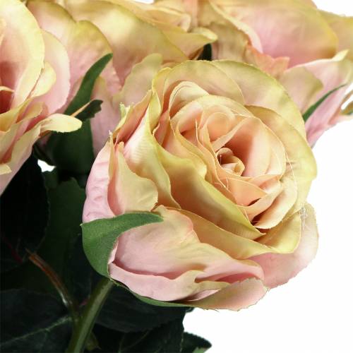 Floristik24 Crème Art Rose fourrée, rose Ø6cm L37cm 6pcs