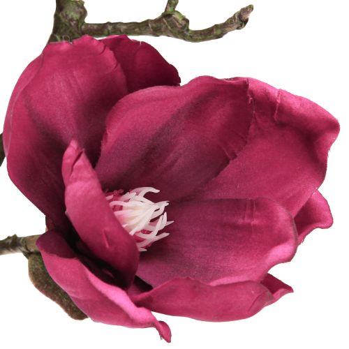 Article Branche de Magnolia Artificielle Fleurs Artificielles Bordeaux L100cm