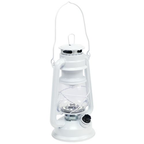 Floristik24 Lanterne LED dimmable blanc chaud 24,5cm avec 15 lampes