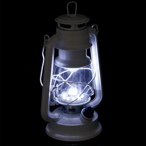 Floristik24 Lanterne LED dimmable blanc chaud 24,5cm avec 15 lampes