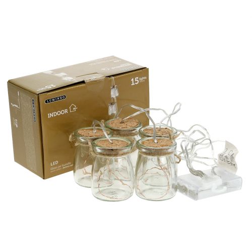 Floristik24 Chaîne lumineuse LED en verre blanc chaud 70cm 15 lumières