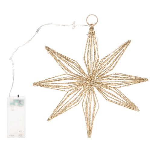 Étoile décorative en fil métallique doré avec 20 LED lumière chaude, 22 cm, intérieur | Floristik24.fr