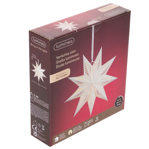 Étoile de Noël LED à Suspendre
