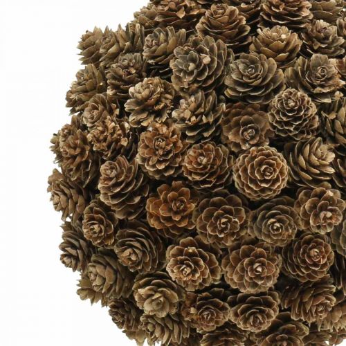 Floristik24 Décoration boule cône mélèze avec cône pour accrocher nature Ø20cm