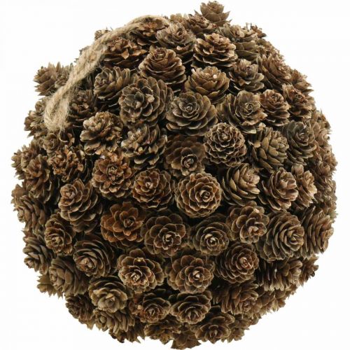 Floristik24 Décoration boule cône mélèze avec cône pour accrocher nature Ø20cm