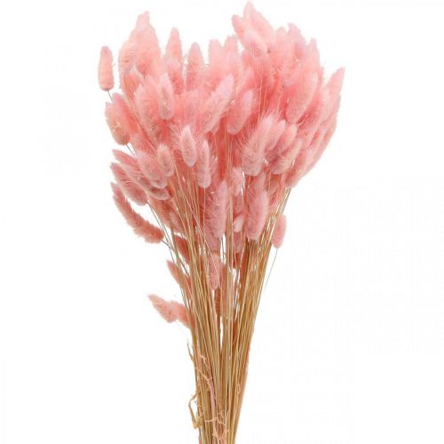 Lagurus Queue de Lapin Séchée Herbe Rose Clair 65-70cm 100g