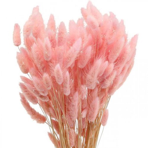 Floristik24 Lagurus herbe de queue de lapin séchée rose clair 65-70cm 100g