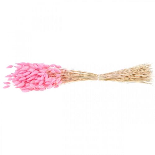 Article Lagurus Herbe Queue de Lapin Séchée Rose 65-70cm 100g