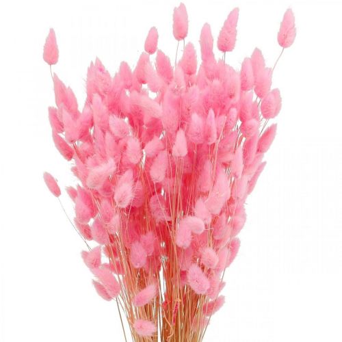 Article Lagurus Herbe Queue de Lapin Séchée Rose 65-70cm 100g