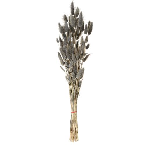 Article Lagurus Herbe de queue de lièvre séchée Gris 45-55cm 50g