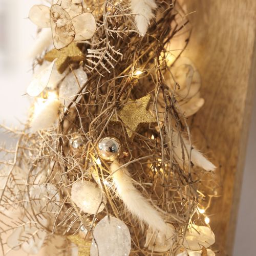 Bouquet de Lagurus Séché en Blanc Crème 55-70 cm 100 g | Floristik24.fr