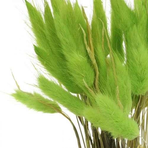 Article Velours vert d'herbe, lagurus, décoration sèche, foin d'odeur séché L18-50cm 25g
