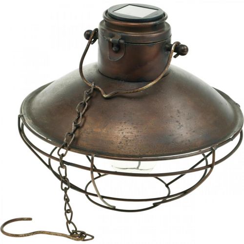 Floristik24 Suspension LED, suspension rustique, énergie solaire Ø24,5cm H24cm