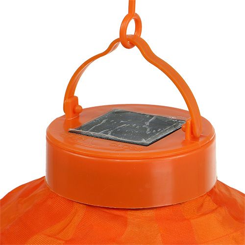 Floristik24 Lampion LED avec solaire 20cm orange