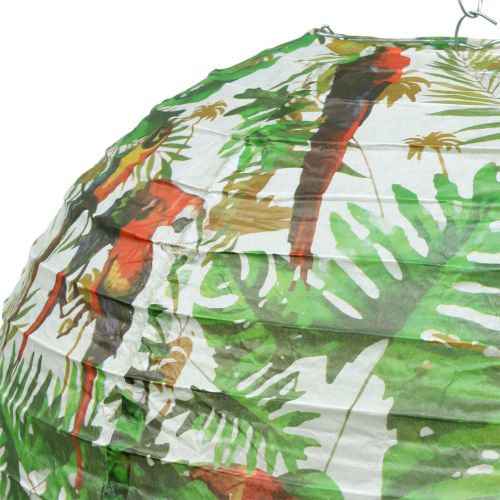 Floristik24 Lanterne en papier avec motif jungle Ø40cm