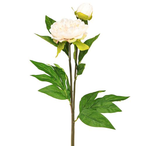 Floristik24 Pivoines artificielles longues fleurs artificielles crème 70cm 3 pcs