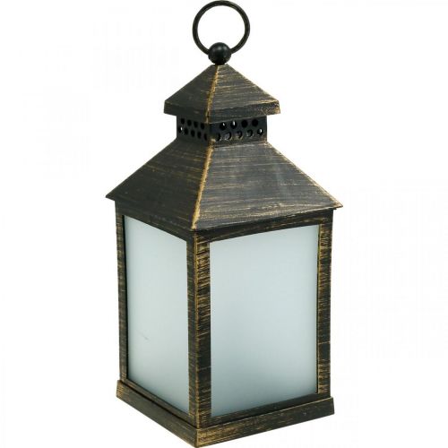 Floristik24 Lanterne LED avec Minuterie Déco Lanterne Vintage Or H23cm