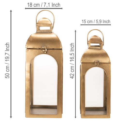 Lot de 2 lanternes en métal et verre finition laiton, H50cm | Floristik24.fr
