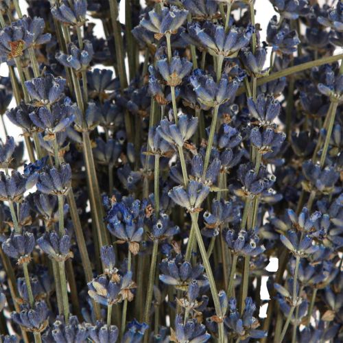 Floristik24 Fleurs séchées de lavande Décoration naturelle 100g 40cm 100g × 2pcs
