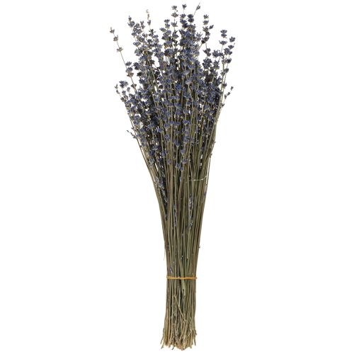 Floristik24 Fleurs séchées de lavande Décoration naturelle 100g 40cm 100g × 2pcs