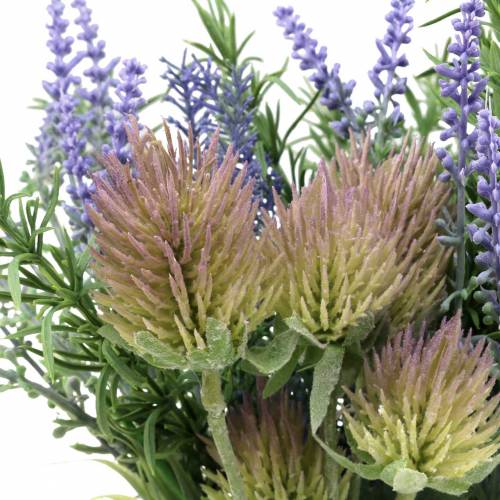 Floristik24 Bouquet d'herbes lavande, romarin, chardon 40cm