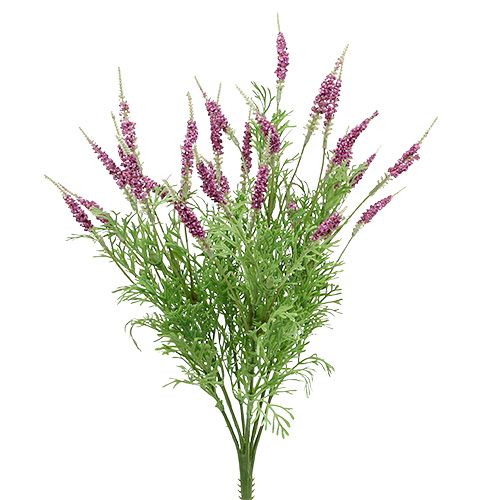 Floristik24 Buisson de lavande violet 43cm