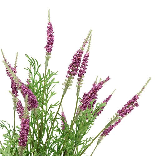 Floristik24 Buisson de lavande violet 43cm