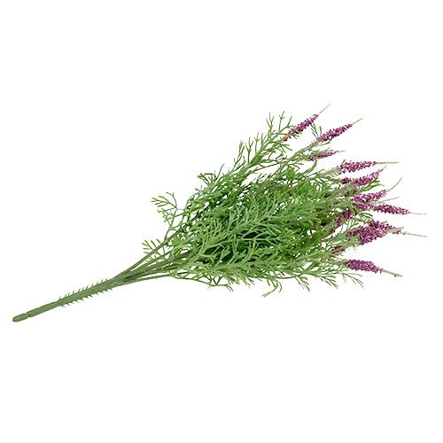 Floristik24 Buisson de lavande violet 43cm