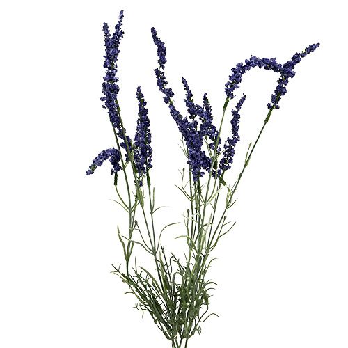 Buisson de lavande 55cm bleu