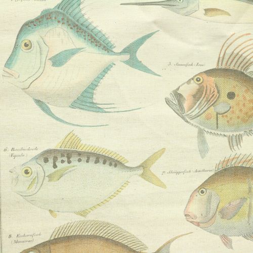 Floristik24 Rouleau déco en lin avec poisson 60cm x 72cm