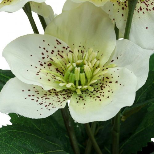 Floristik24.fr Rose de Carême Hellébore Rose de Noël pot fleurs  artificielles H25cm blanc - acheter pas cher en ligne