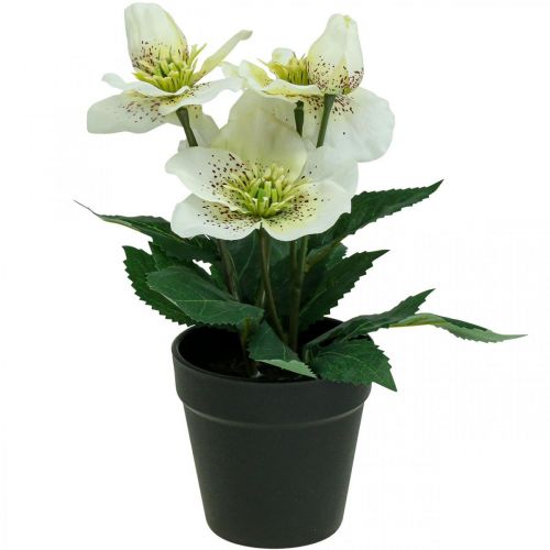 Rose de Carême Hellébore Rose de Noël pot fleurs artificielles H25cm blanc