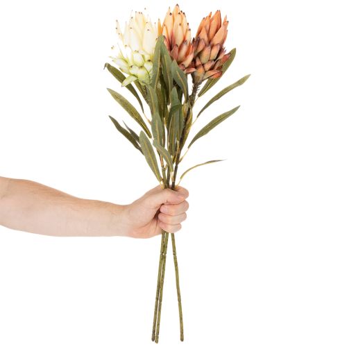 Kunstblume Protea Leucadendron 65 cm en lot de 3 | Floristik24.fr