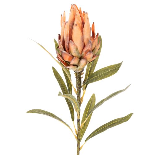 Kunstblume Protea Leucadendron 65 cm en lot de 3 | Floristik24.fr