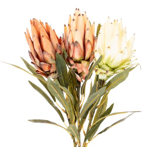 Kunstblume Protea Leucadendron 65 cm en lot de 3 | Floristik24.fr