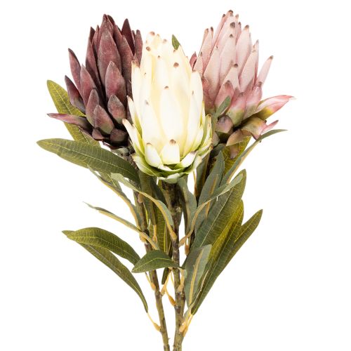 Kunstblume Protea Leucadendron 100 cm 3 pièces | Floristik24.fr